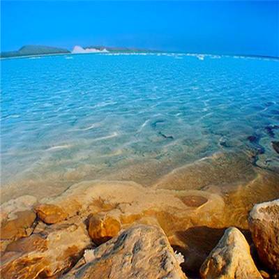 天成彩票手机app下载截图