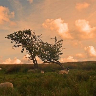 幸运快3在线官网官网网站