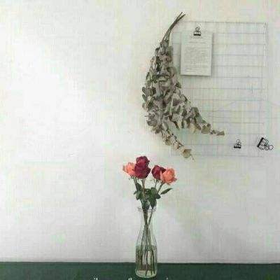 澳门新葡萄新京8883下载手机版